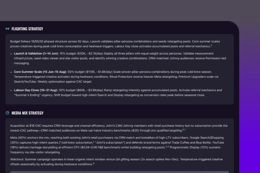 Media strategy screenshot